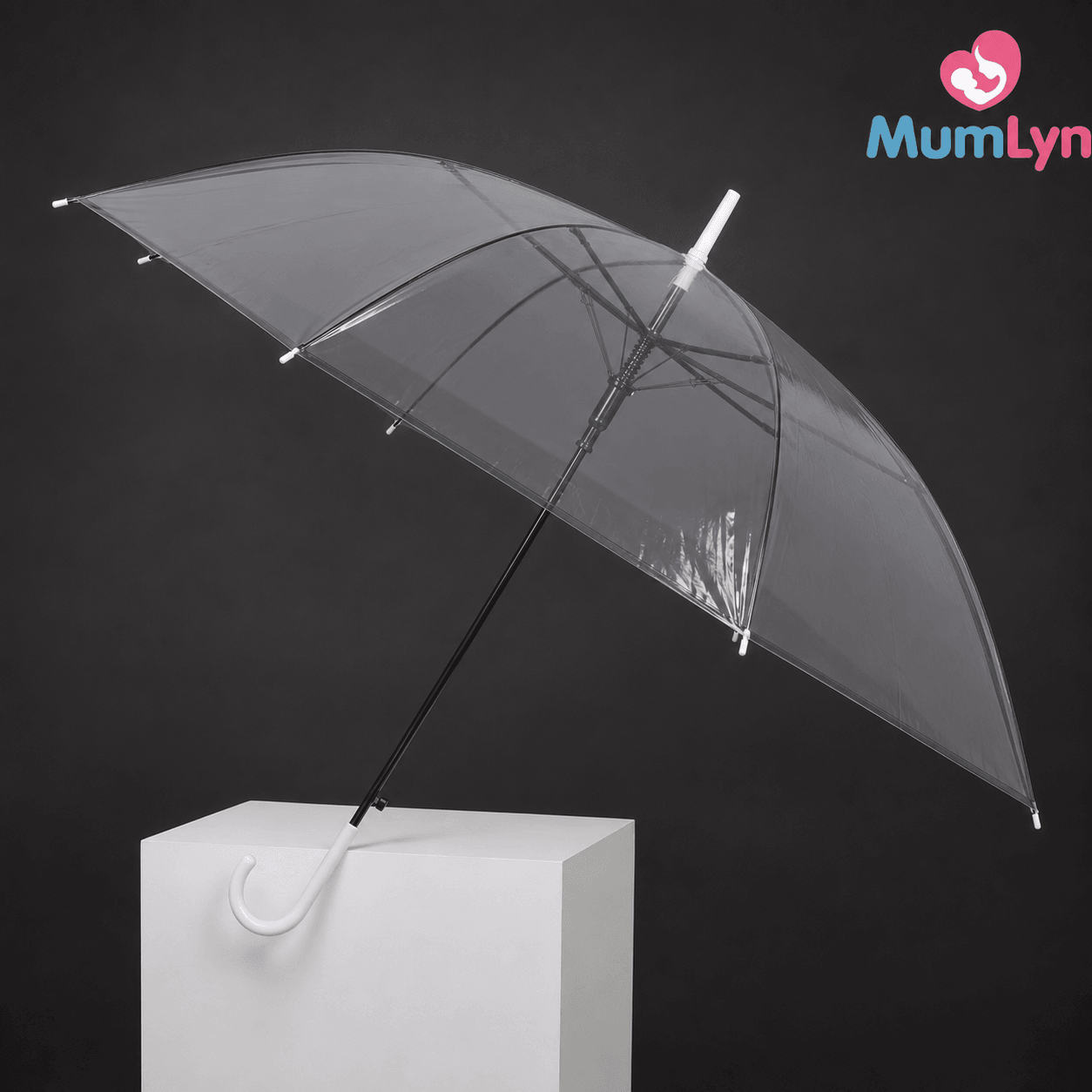 Kids Transparent Umbrella